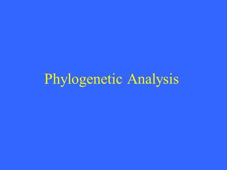 Phylogenetic Analysis. 2 Introduction Intension –Using powerful algorithms to reconstruct the evolutionary history of all know organisms. Phylogenetic.