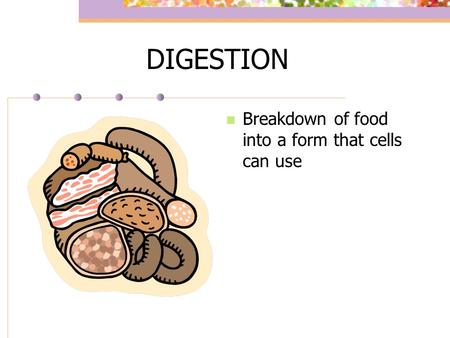 DIGESTION Breakdown of food into a form that cells can use.