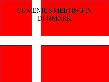 COMENIUS MEETING IN DENMARK. TRAVELLING TO DENMARK In the train to Copenhagen We crossed the sea by ship.