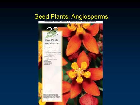 Seed Plants: Angiosperms. Outline Phylum Magnoliophyta  Gametophyte Development Pollination Fertilization and Seed Development Specialization Trends.