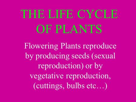 THE LIFE CYCLE OF PLANTS