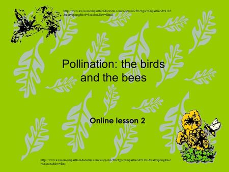 Pollination: the birds and the bees Online lesson 2  &cat=Spring&sec=Seasons&kw=Birds.