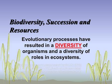 Biodiversity, Succession and Resources Evolutionary processes have resulted in a DIVERSITY of organisms and a diversity of roles in ecosystems.