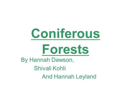 Coniferous Forests By Hannah Dawson, Shivali Kohli And Hannah Leyland.