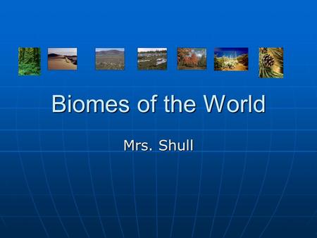 Biomes of the World Mrs. Shull.