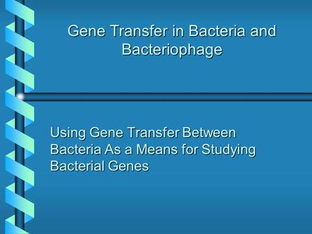 Gene Transfer in Bacteria and Bacteriophage