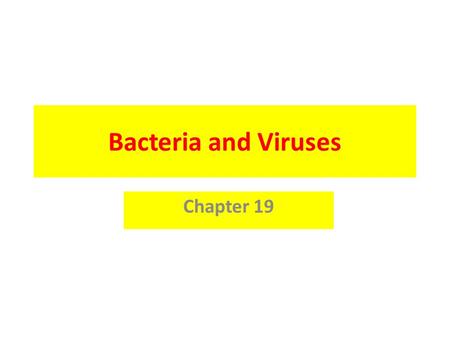 Bacteria and Viruses Chapter 19. 19-1 Bacteria Common name for all prokaryotes unicellular organisms without a nucleus Were all in Monera Eubacteria live.