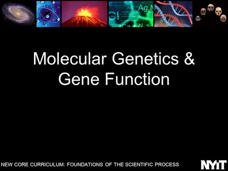 Molecular Genetics & Gene Function NEW CORE CURRICULUM: FOUNDATIONS OF THE SCIENTIFIC PROCESS.
