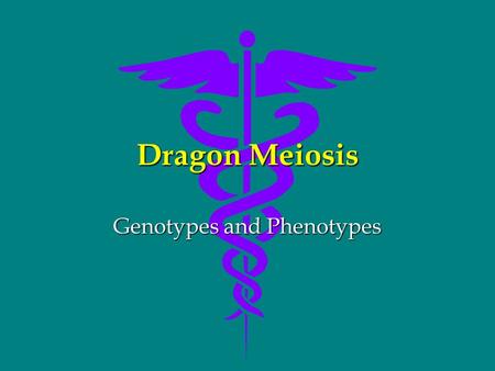 Dragon Meiosis Genotypes and Phenotypes. Maryland Science Content Standard Students will be able to explain the ways that genetic information is passed.
