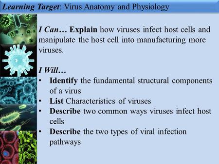 Learning Target: Virus Anatomy and Physiology I Can… Explain how viruses infect host cells and manipulate the host cell into manufacturing more viruses.