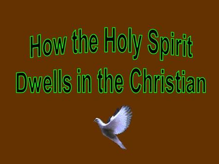 Does the Holy Spirit in some direct way lead us or direct us ? Some say yes ! Vision – Experience Believe the Holy Spirit operates Separate and apart.
