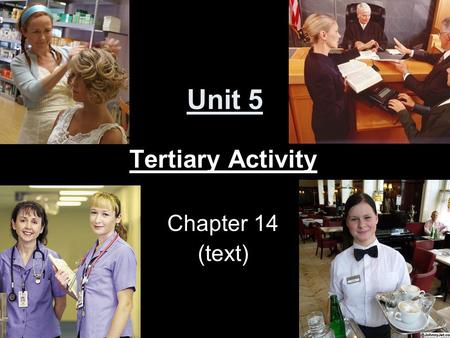Unit 5 Tertiary Activity Chapter 14 (text). Introduction Tertiary Activity: Involves service industries, which provide services for people. Ex. Doctor,