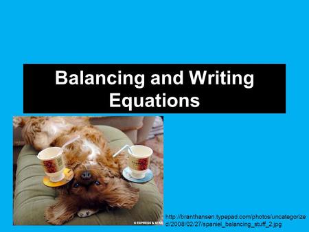 Balancing and Writing Equations  d/2008/02/27/spaniel_balancing_stuff_2.jpg.