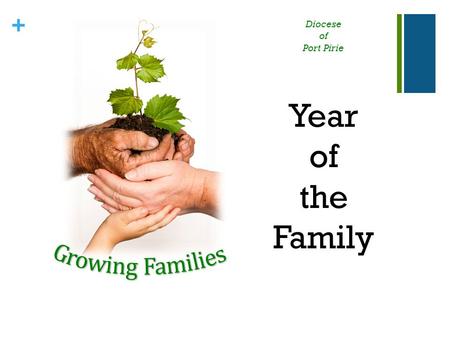 Diocese of Port Pirie Year the Family Growing Families  