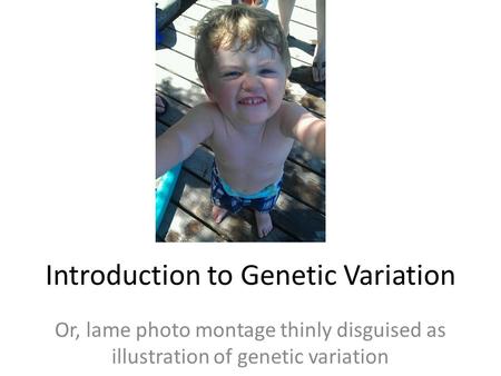 Introduction to Genetic Variation