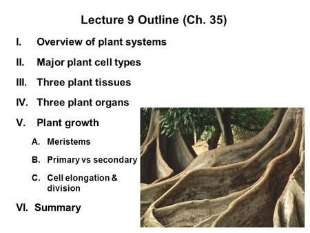 Lecture 9 Outline (Ch. 35) Overview of plant systems