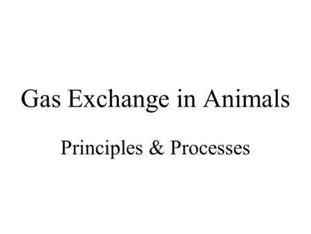 Gas Exchange in Animals Principles & Processes. Gas Exchange respiratory gases –oxygen (O 2 ) required as final electron acceptor for oxidative metabolism.