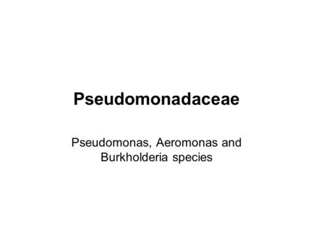 Pseudomonas, Aeromonas and Burkholderia species