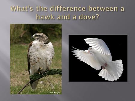  By 1967, Congress and the U.S. were divided into two camps:  Hawks supported the war against communism  Doves questioned the war on moral and strategic.