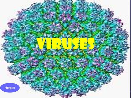 Herpes VIRUSES. Viruses – are particles that are NOT ALIVE.