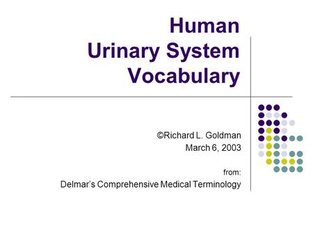 Human Urinary System Vocabulary ©Richard L. Goldman March 6, 2003 from: Delmar’s Comprehensive Medical Terminology.