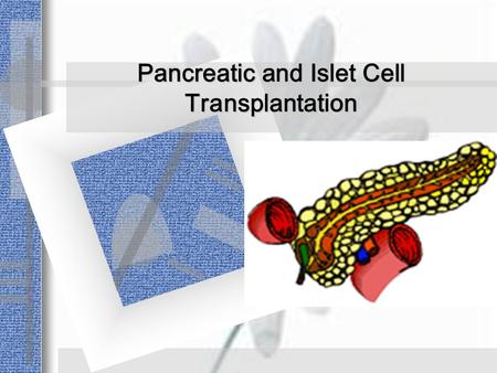 Pancreatic and Islet Cell Transplantation. GENERAL PRINCIPLES Pancreas graft survival rates have significantly improved over the past decade, and now.
