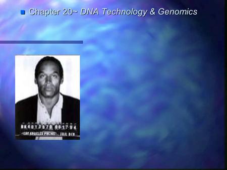 Chapter 20~ DNA Technology & Genomics