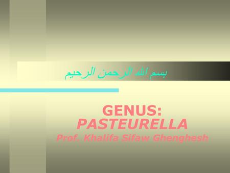 GENUS: PASTEURELLA Prof. Khalifa Sifaw Ghenghesh
