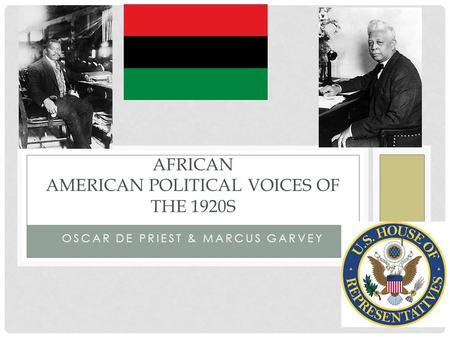 African American Political Voices of the 1920s