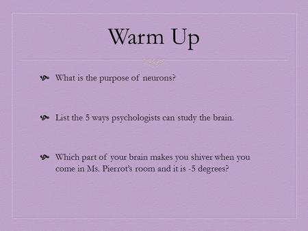 Warm Up  What is the purpose of neurons?  List the 5 ways psychologists can study the brain.  Which part of your brain makes you shiver when you come.