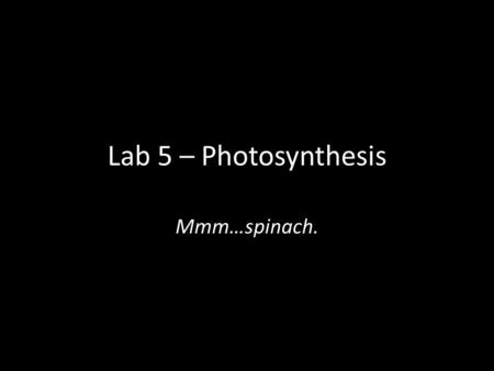 Lab 5 – Photosynthesis Mmm…spinach.. Lab Structure The first thing to know is that we have a dual-lab structure here. – The main lab (Lab 5, straight.