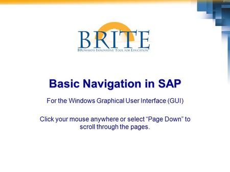 Basic Navigation in SAP For the Windows Graphical User Interface (GUI) Click your mouse anywhere or select “Page Down” to scroll through the pages.