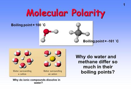 Molecular Polarity Boiling point = 100 ˚C Boiling point = -161 ˚C