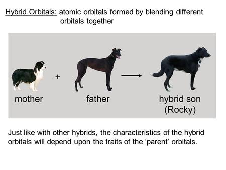 Hybrid Orbitals: atomic orbitals formed by blending different orbitals together Just like with other hybrids, the characteristics of the hybrid orbitals.