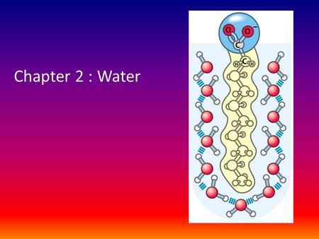 Chapter 2 : Water Lets Jump into …. Water. Opening figure: fatty acid in a clathrate with waters of hydration (more dense than surrounding water) around.