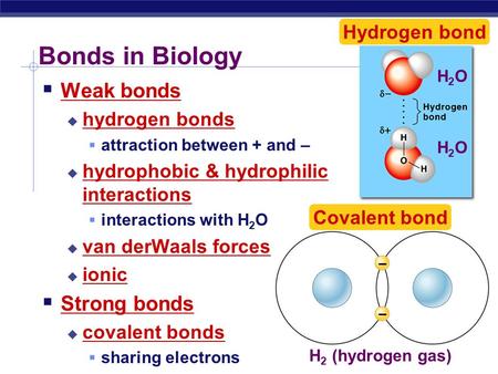 – – H 2 (hydrogen gas) Covalent bond Bonds in Biology  Weak bonds  hydrogen bonds  attraction between + and –  hydrophobic & hydrophilic interactions.