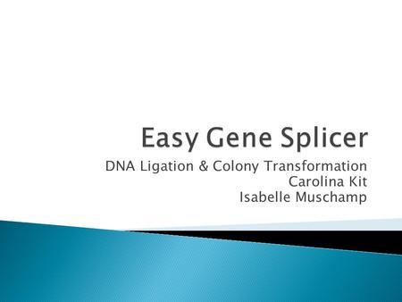 DNA Ligation & Colony Transformation Carolina Kit Isabelle Muschamp