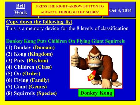 Copy down the following list. This is a memory device for the 8 levels of classification Donkey Kong Puts Children On Flying Giant Squirrels (1) Donkey.
