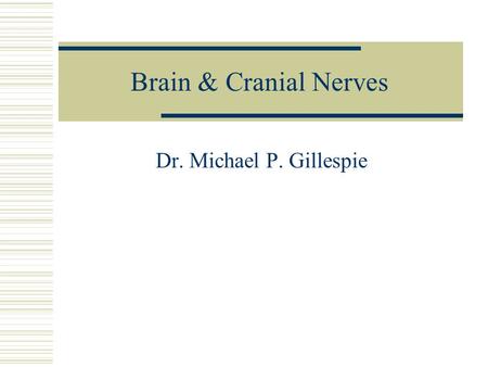 Brain & Cranial Nerves Dr. Michael P. Gillespie. Major Parts of the Brain  Brain stem – continuous with the spinal cord. Medulla oblongata. Pons. Midbrain.