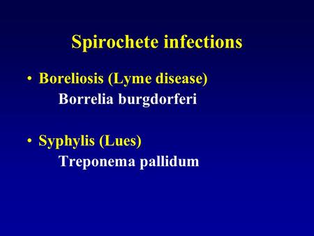 Spirochete infections Boreliosis (Lyme disease) Borrelia burgdorferi Syphylis (Lues) Treponema pallidum.