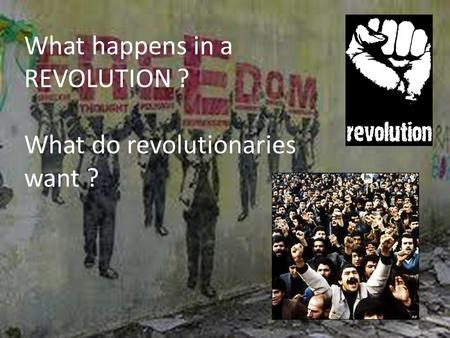 What happens in a REVOLUTION ? What do revolutionaries want ?