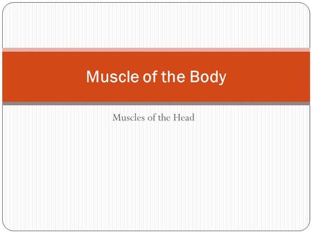 Muscle of the Body Muscles of the Head.