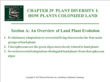 CHAPTER 29 PLANT DIVERSITY I: HOW PLANTS COLONIZED LAND Copyright © 2002 Pearson Education, Inc., publishing as Benjamin Cummings Section A: An Overview.