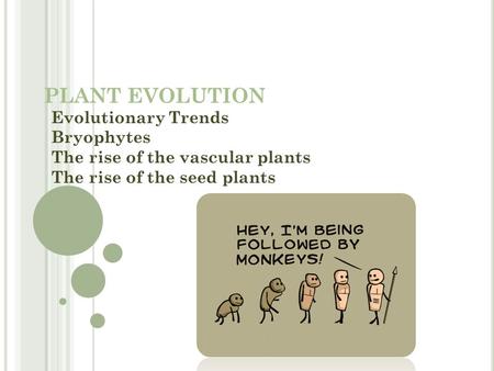 PLANT EVOLUTION Evolutionary Trends Bryophytes The rise of the vascular plants The rise of the seed plants.