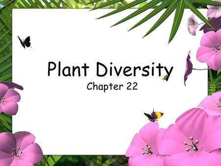 Plant Diversity Chapter 22.