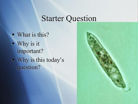 Starter Question  What is this?  Why is it important?  Why is this today’s question?  What is this?  Why is it important?  Why is this today’s question?