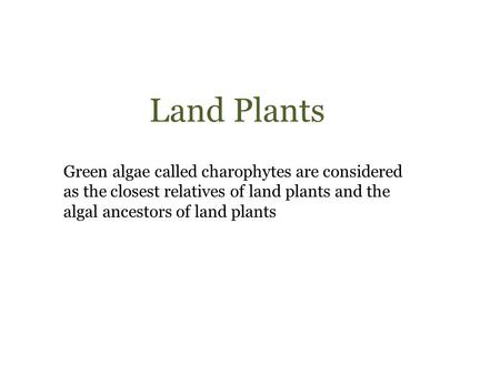 Land Plants Green algae called charophytes are considered as the closest relatives of land plants and the algal ancestors of land plants.