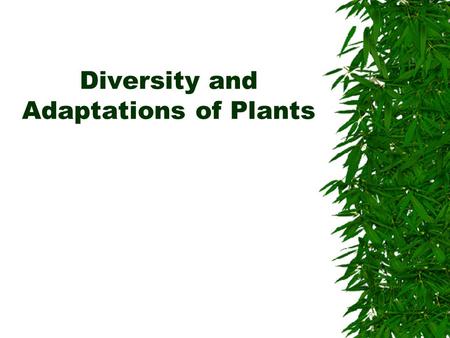 Diversity and Adaptations of Plants. Plants became established on land  Probably evolved from multi-cellular aquatic green algae (a protist)  Plants.