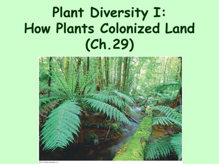 Plant Diversity I: How Plants Colonized Land (Ch.29)