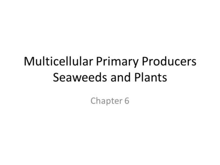 Multicellular Primary Producers Seaweeds and Plants